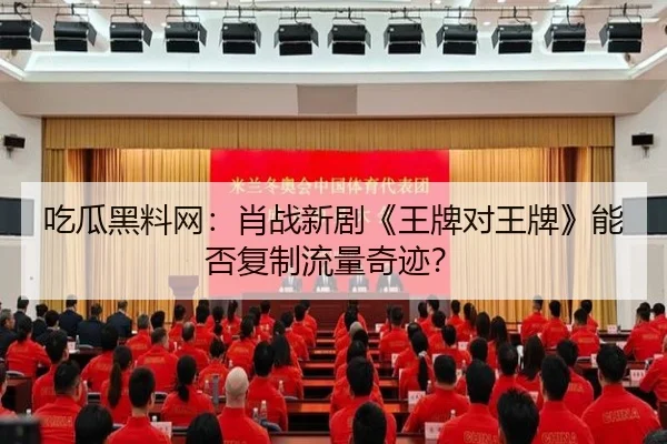 chi-gua-hei-liao-wang-xiao-zhan-xin-ju-wang-pai-dui-wang-pai-neng-fou-fu-zhi-liu-liang-qi-ji-2-435.jpg